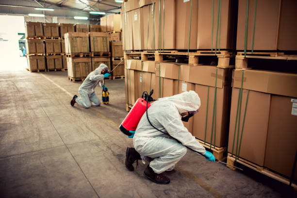 Best Pest Inspection Near Me  in Jennings, MO