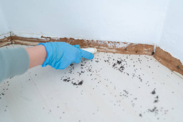 Best Wildlife Control Services  in Jennings, MO