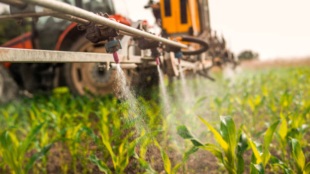 Best Pest Removal Services  in Jennings, MO